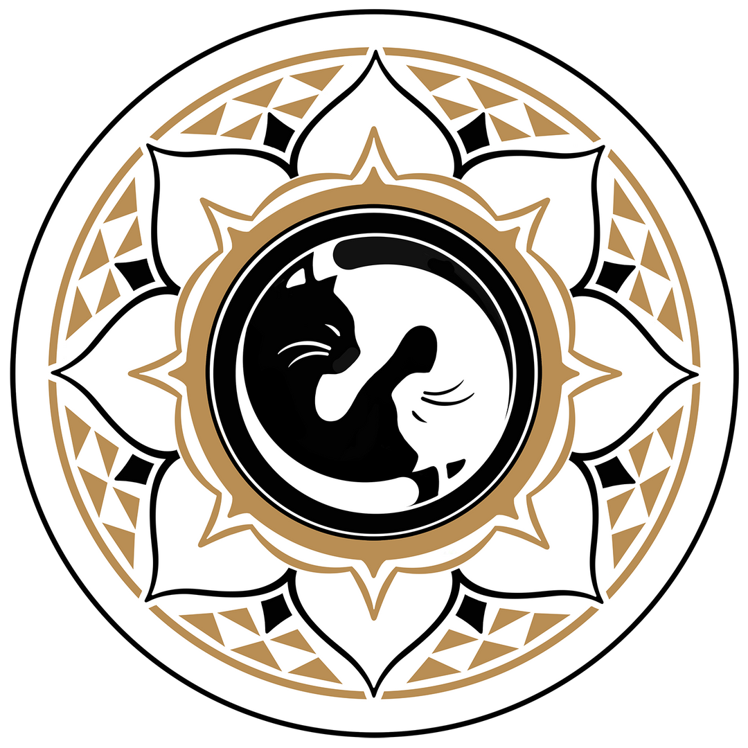 AMAZING SPIDER-MAN #26 WARREN LOUW STORE EXCLUSIVE OPTIONS